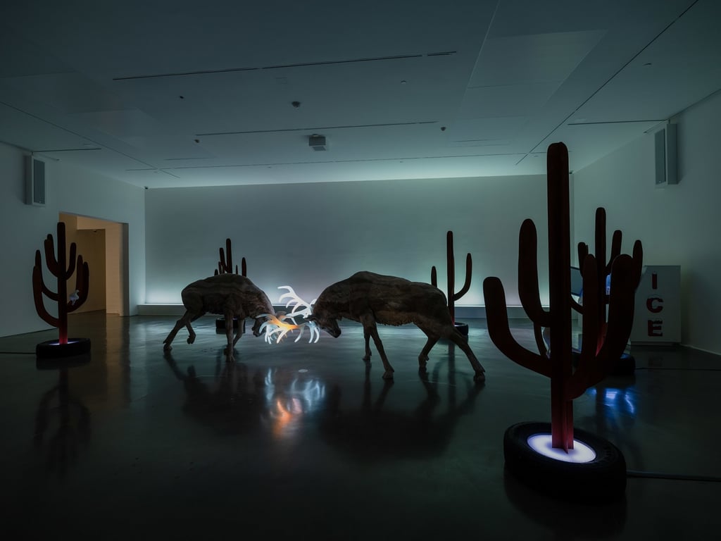 https://images.nightlight.io/1ef2deedfcdf0f60982c10495c954f4d.jpeg