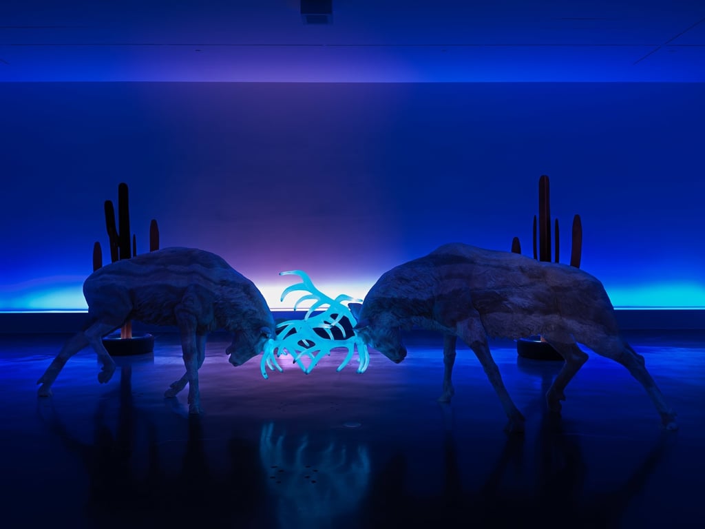 https://images.nightlight.io/484e0e148eb9ccea655d21322a3ac347.jpeg