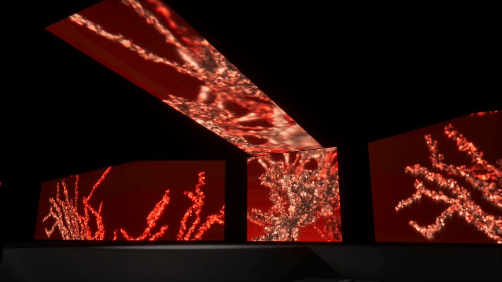 https://images.nightlight.io/HighresScreenshot_2025.09.04-12.18.59.png