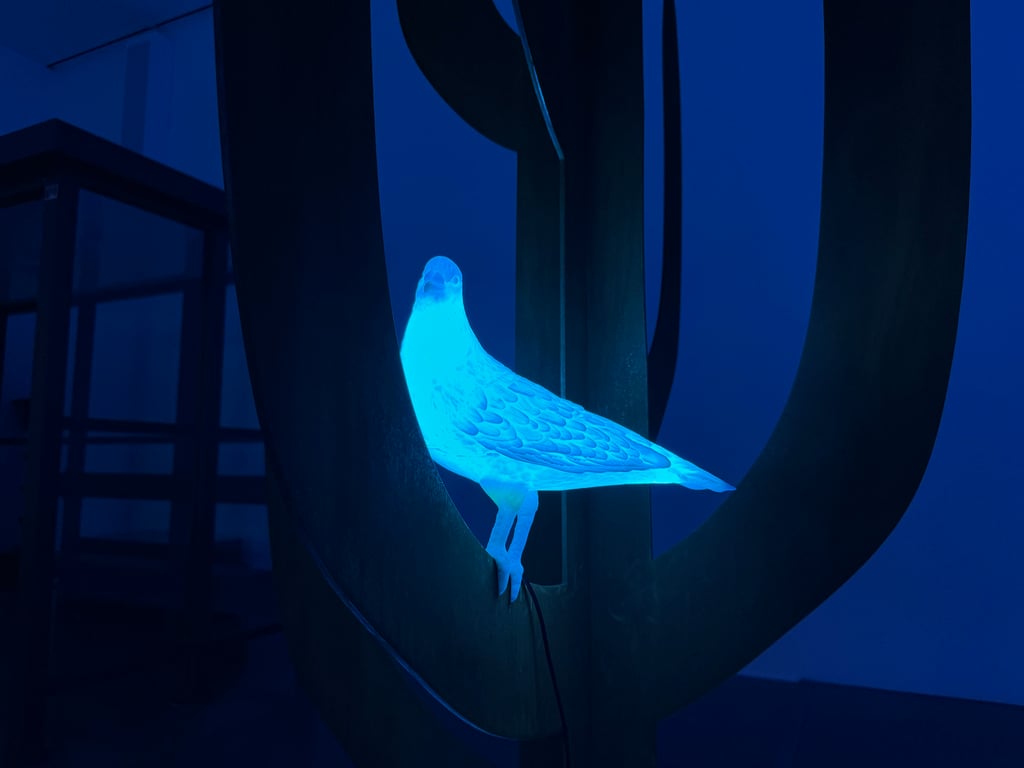 https://images.nightlight.io/IMG_1286.png