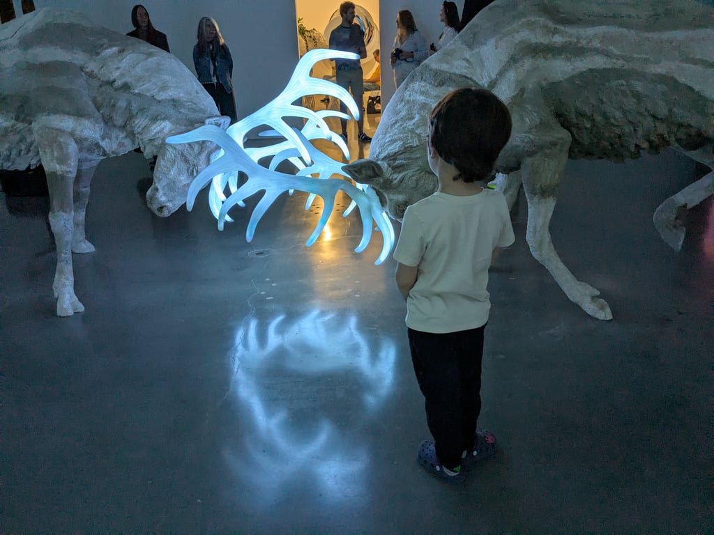 https://images.nightlight.io/PXL_20250222_235119667_TS.jpg