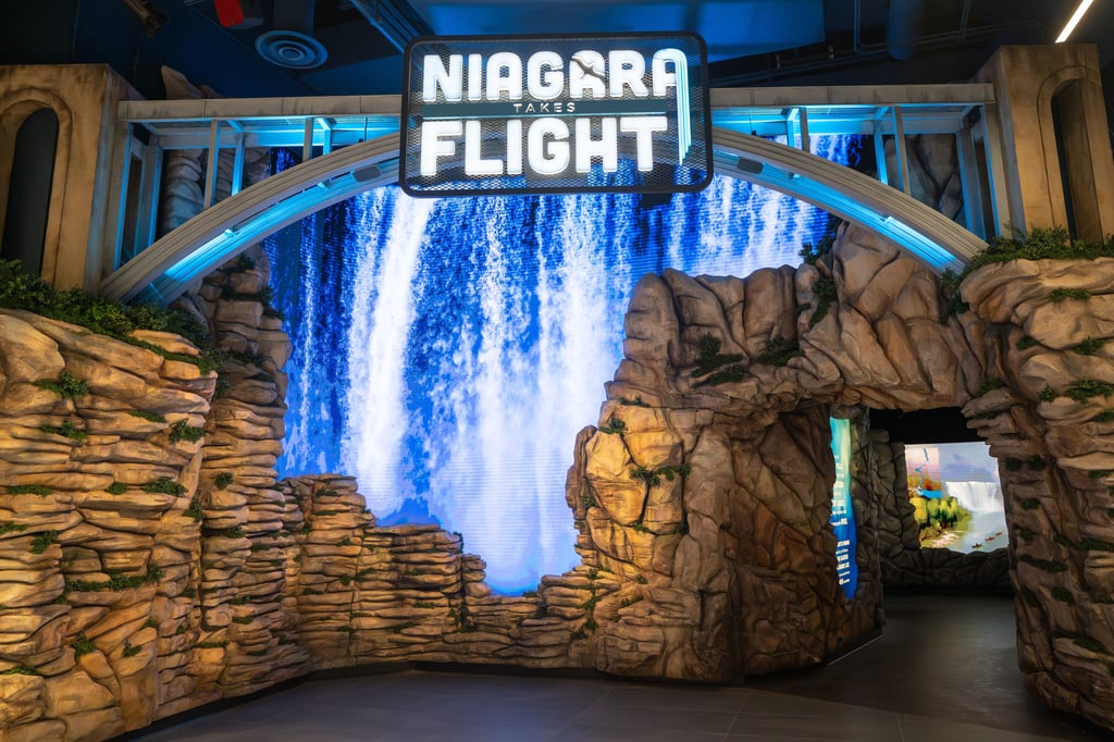NIAGARA TAKES FLIGHT