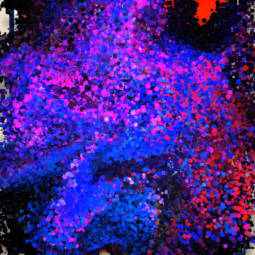 https://images.nightlight.io/eb44641b-ab6a-4c92-97f7-94251bf82e16_rw_600.gif