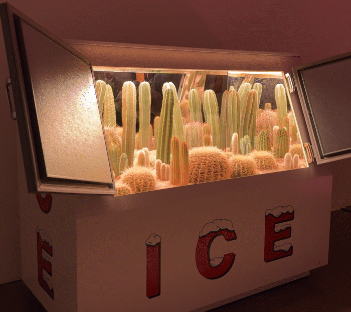 https://images.nightlight.io/iceloop_C178_3.gif