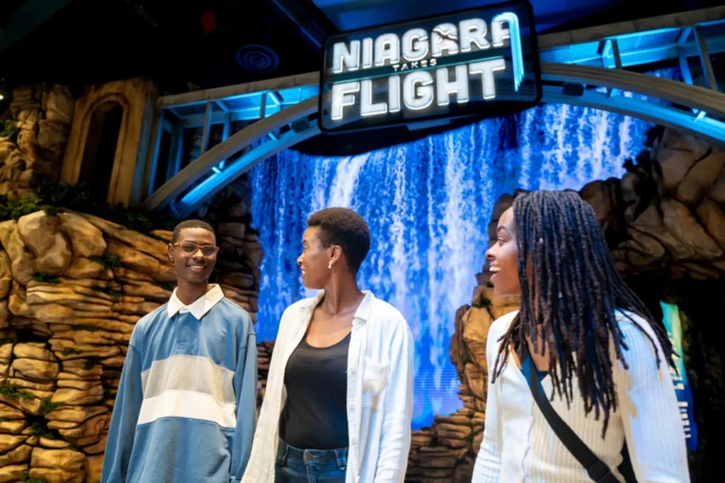 https://images.nightlight.io/niagara-takes-flight-entrance.jpg