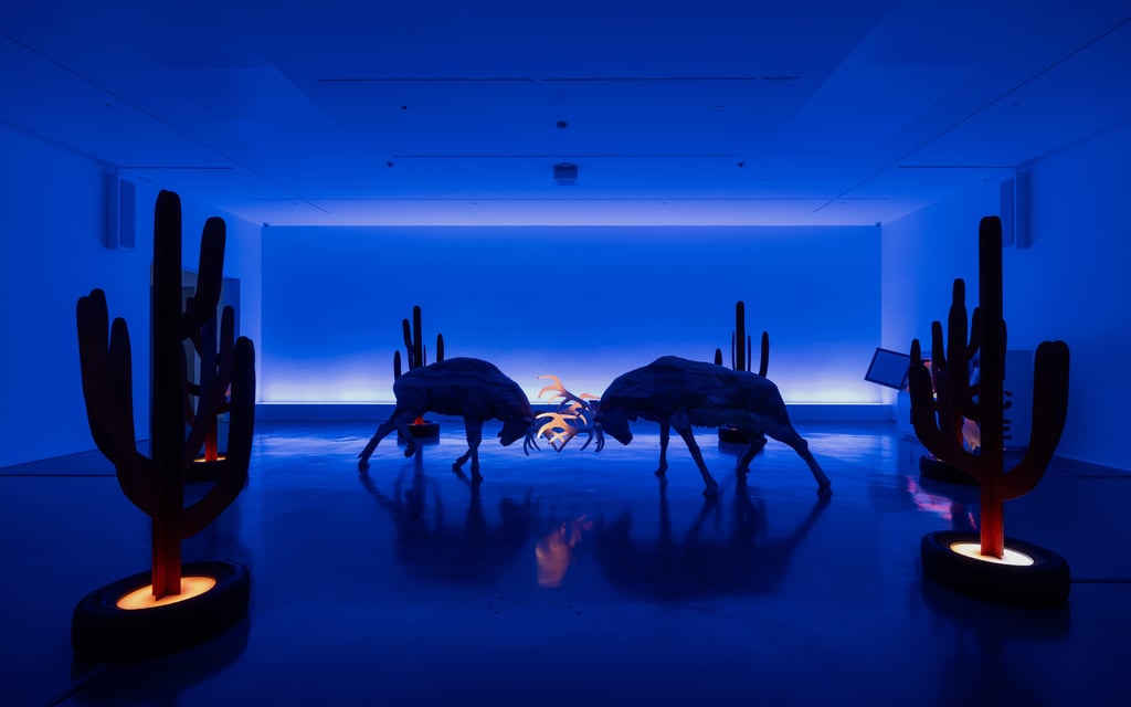 https://images.nightlight.io/stags_blue_front_WS_3600px.jpeg